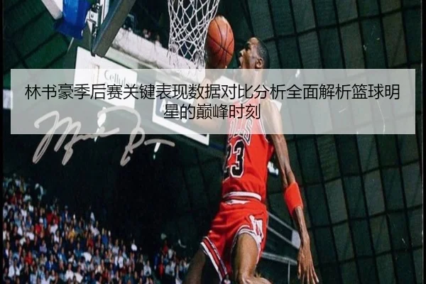 林书豪季后赛关键表现数据对比分析全面解析篮球明星的巅峰时刻