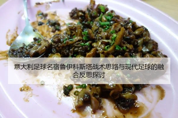 意大利足球名宿鲁伊科斯塔战术思路与现代足球的融合反思探讨