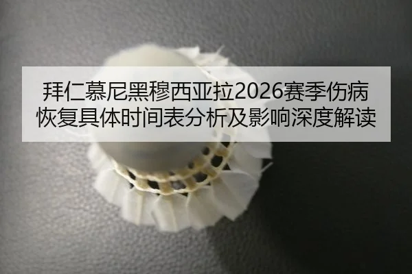 bai-ren-mu-ni-hei-mu-xi-ya-la-sai-ji-shang-bing-hui-fu-ju-ti-shi-jian-biao-fen-xi-ji-ying-xiang-shen-du-jie-du-2-431.jpg
