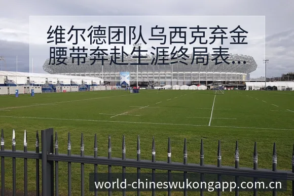维尔德团队乌西克弃金腰带奔赴生涯终局表阵容调整影响风险观 - 悟空体育